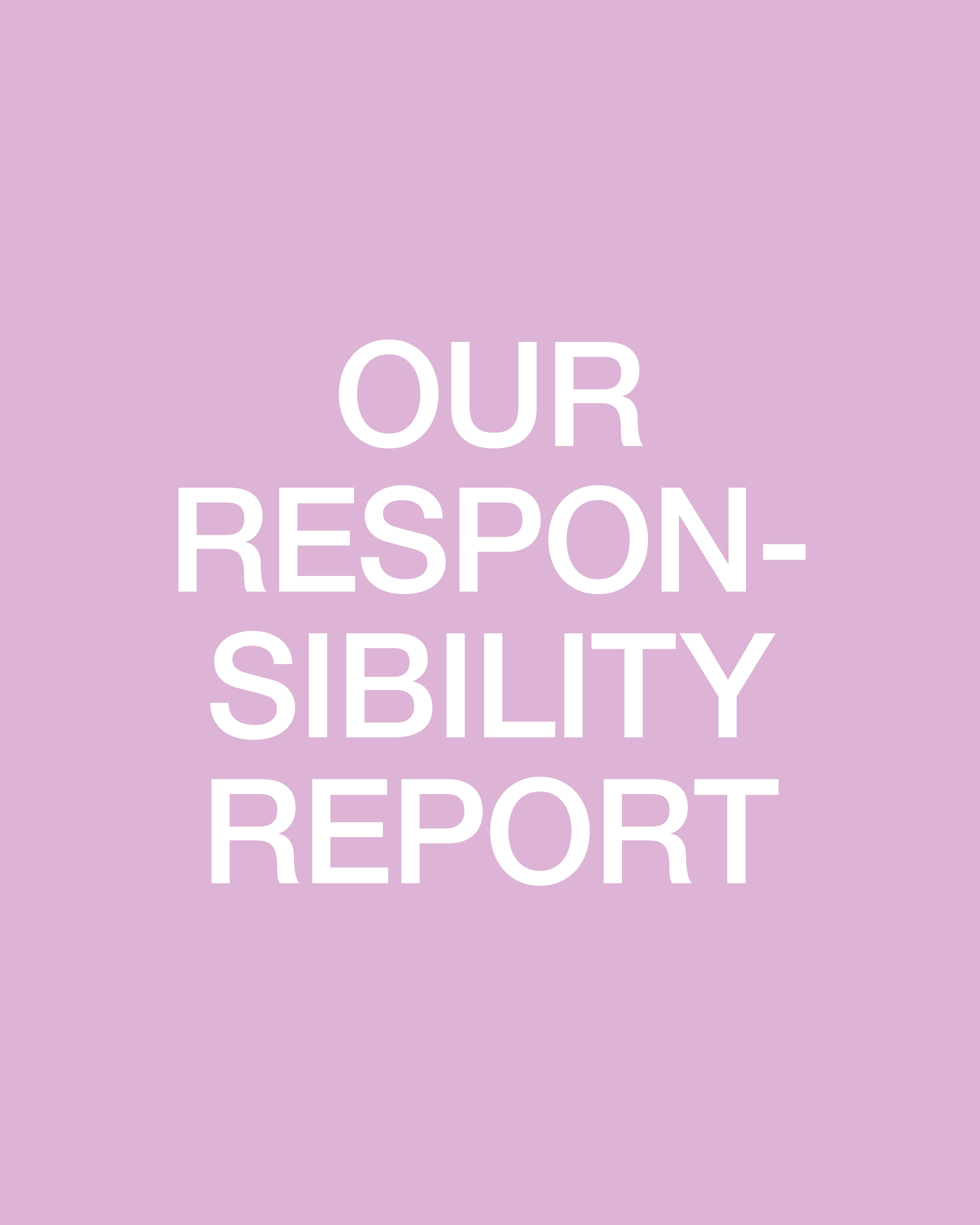 RESPONSIBILITY REPORT